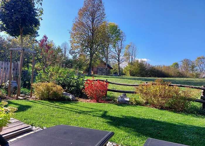 Bee In Forest Пивка